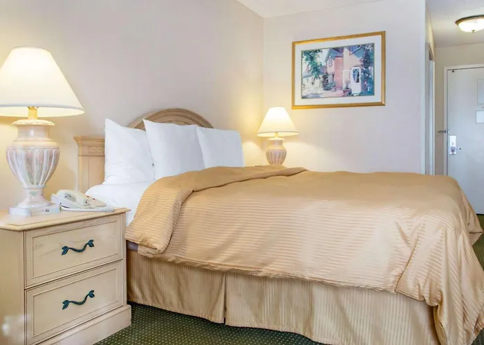 La Quinta & By Wyndham South Holland